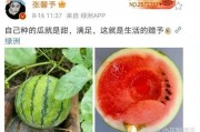 娱乐圈吃瓜哪里好吃,揭秘明星圈中美食地图